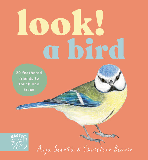 Look! A Bird! (Board Book)